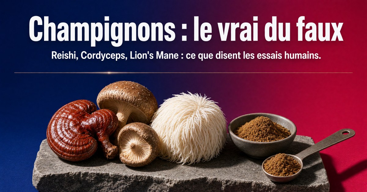 Champignons adaptogènes : est-ce que ça fonctionne vraiment ?