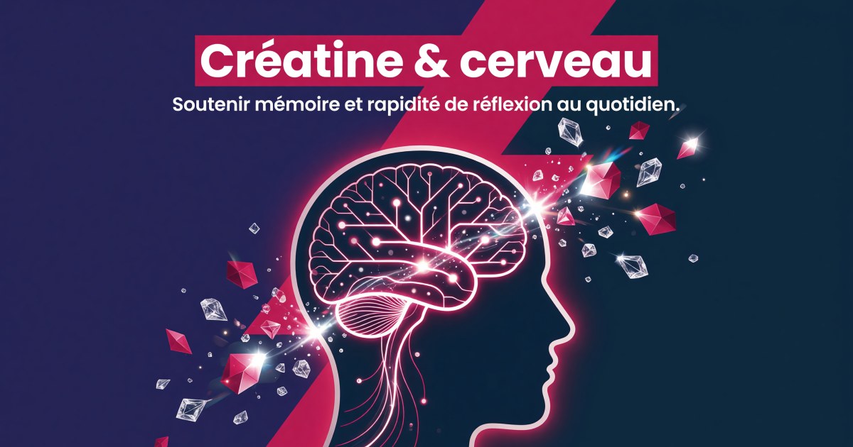 La créatine pour soutenir la mémoire et la vitesse de traitement du cerveau