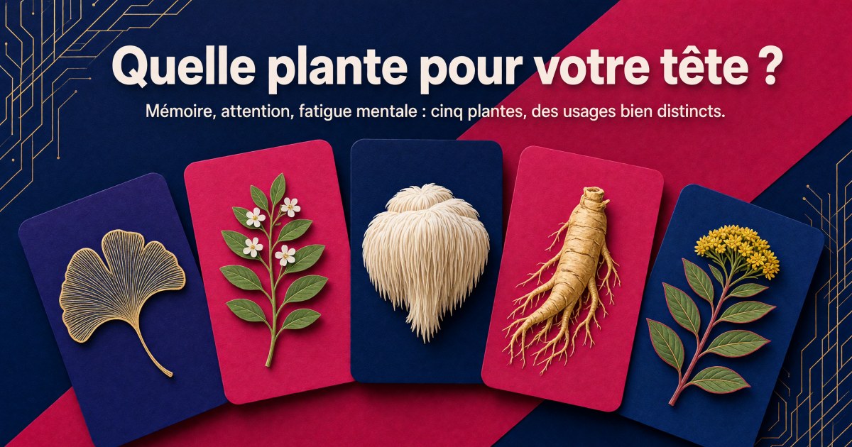 Ginkgo, bacopa, hericium, ginseng ou rhodiola : quelle plante pour quel besoin cognitif ?