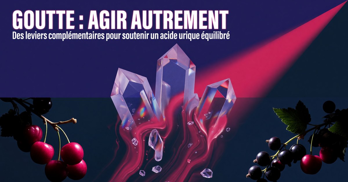 Goutte et acide urique : protocole de compléments fondé sur les preuves