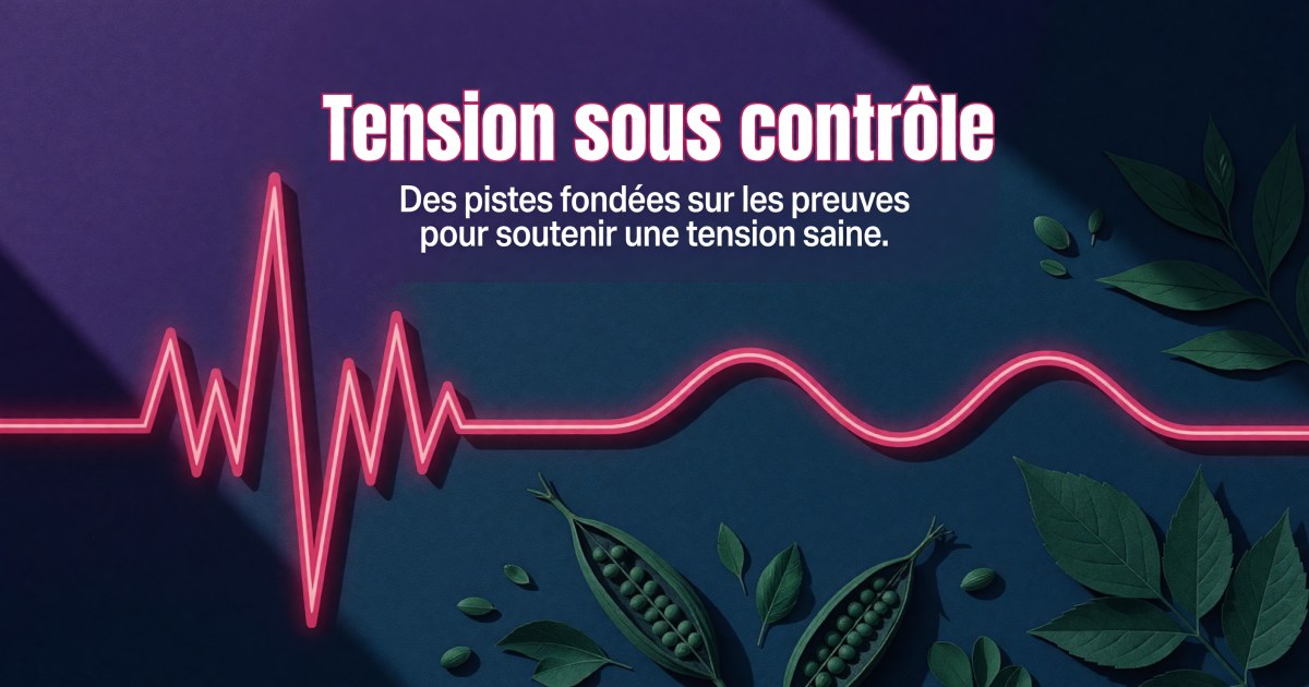 Hypertension artérielle : protocole compléments fondé sur les preuves