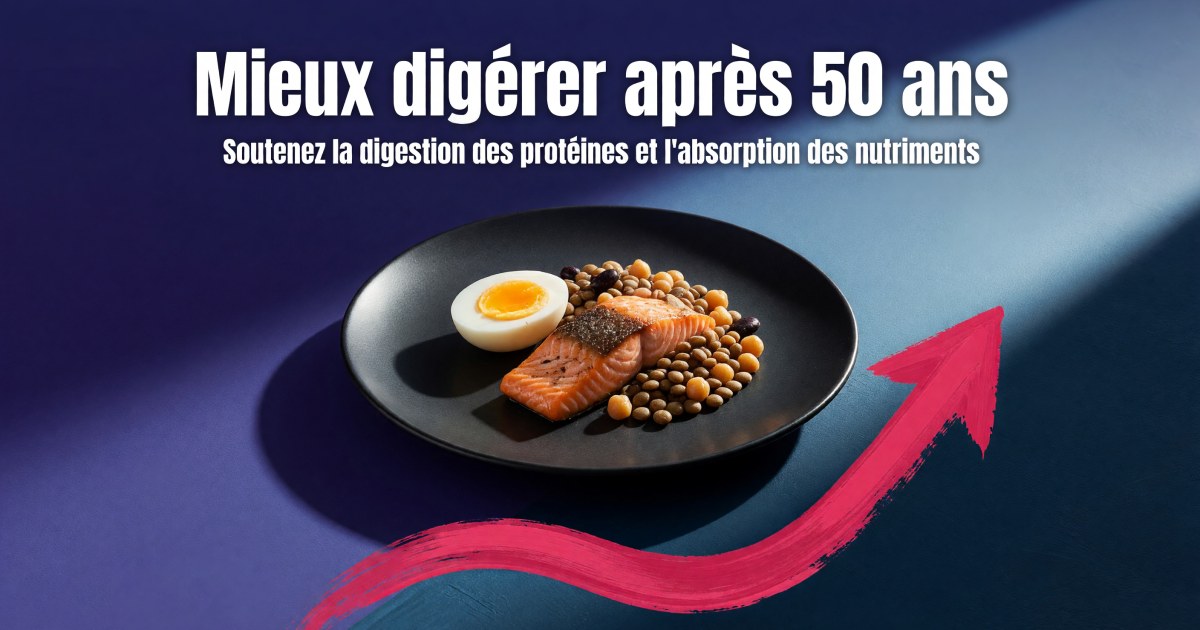 Hypochlorhydrie après 50 ans : protocole pour mieux digérer les protéines et absorber les nutriments
