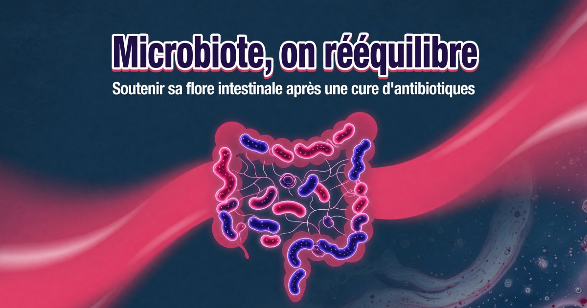 Microbiote après antibiotiques : protocole probiotiques et soutien digestif