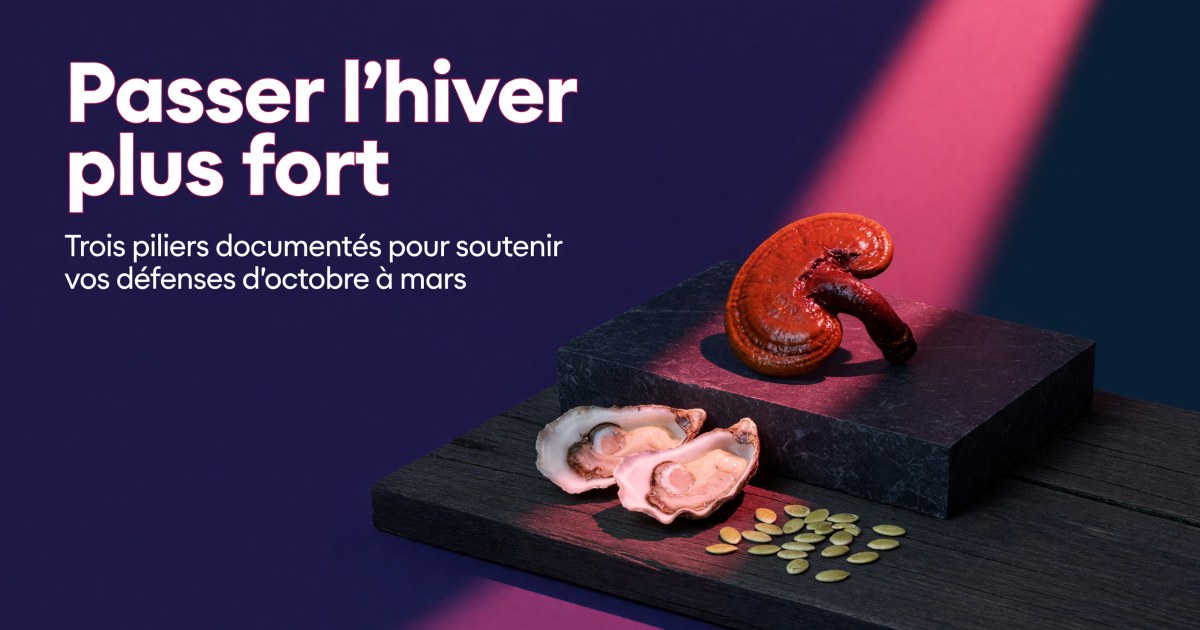 Programme Immunité forte : protocole Reishi, Zinc et Vitamine D3
