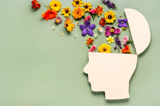 Santé du cerveau