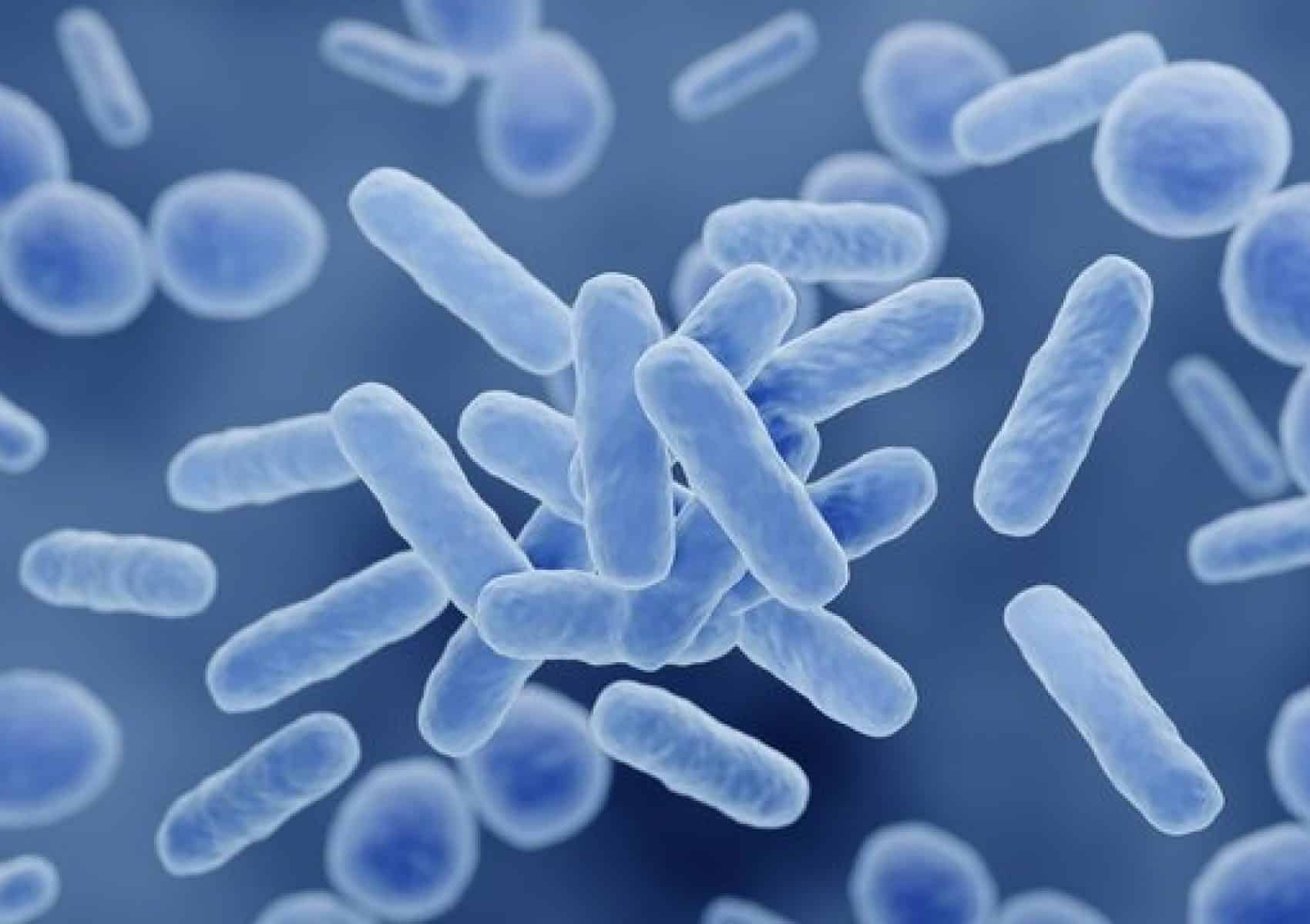 Microbiote 