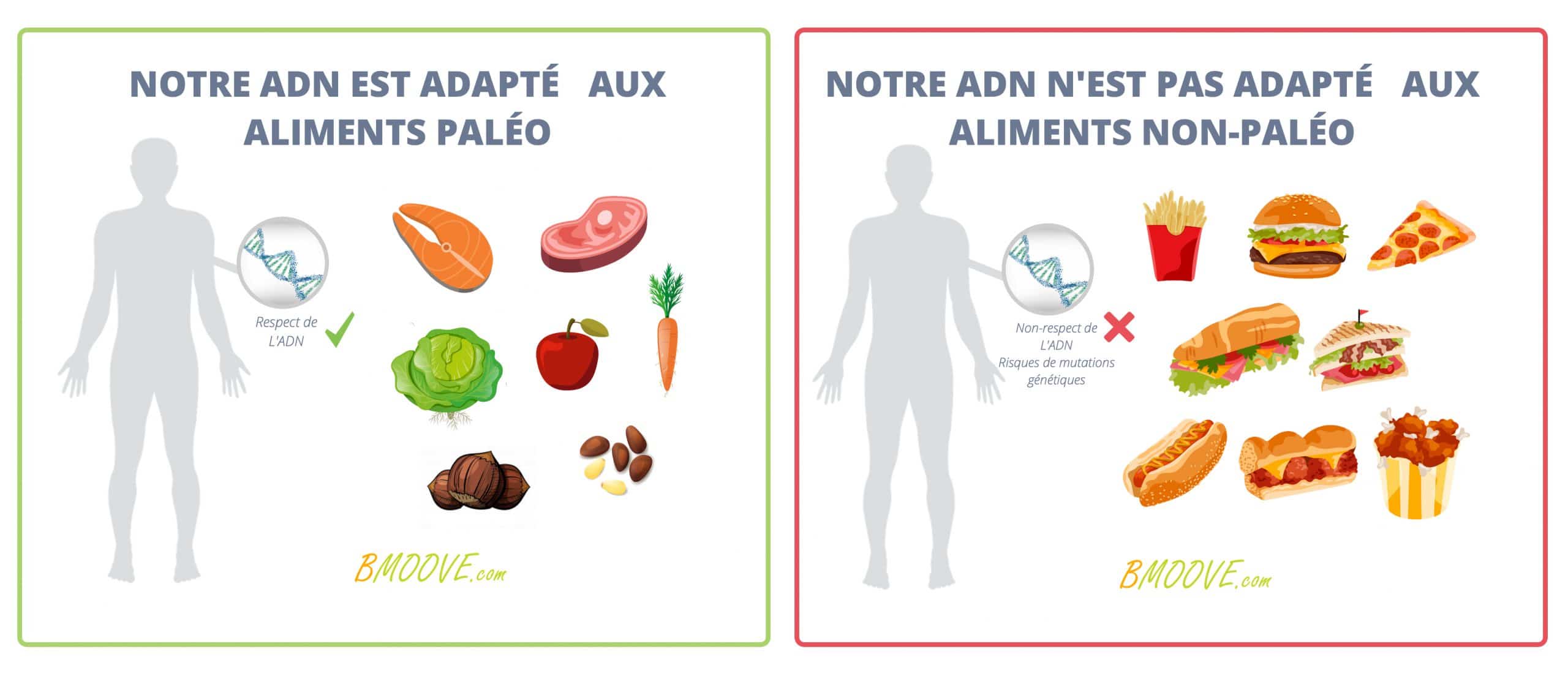 pictogramme aliments adaptés et non adaptés à l'adn humain