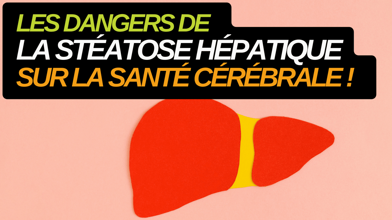 Les dangers de la stéatose hépatique sur la santé cérébrale