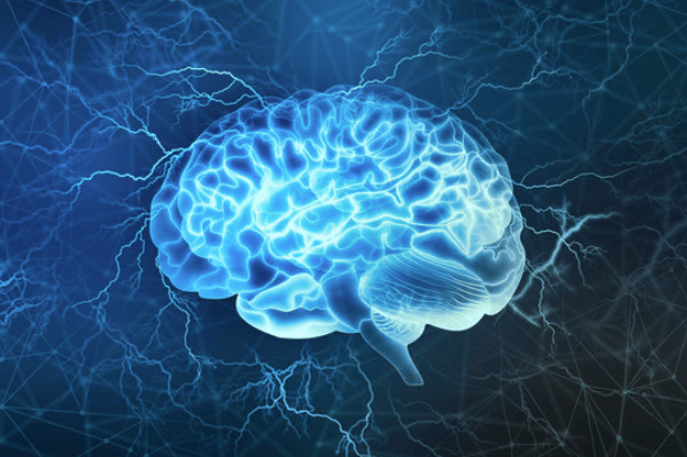 Danger stéatose hépatique sur le cerveau