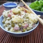 Chou cantonnais Paleo