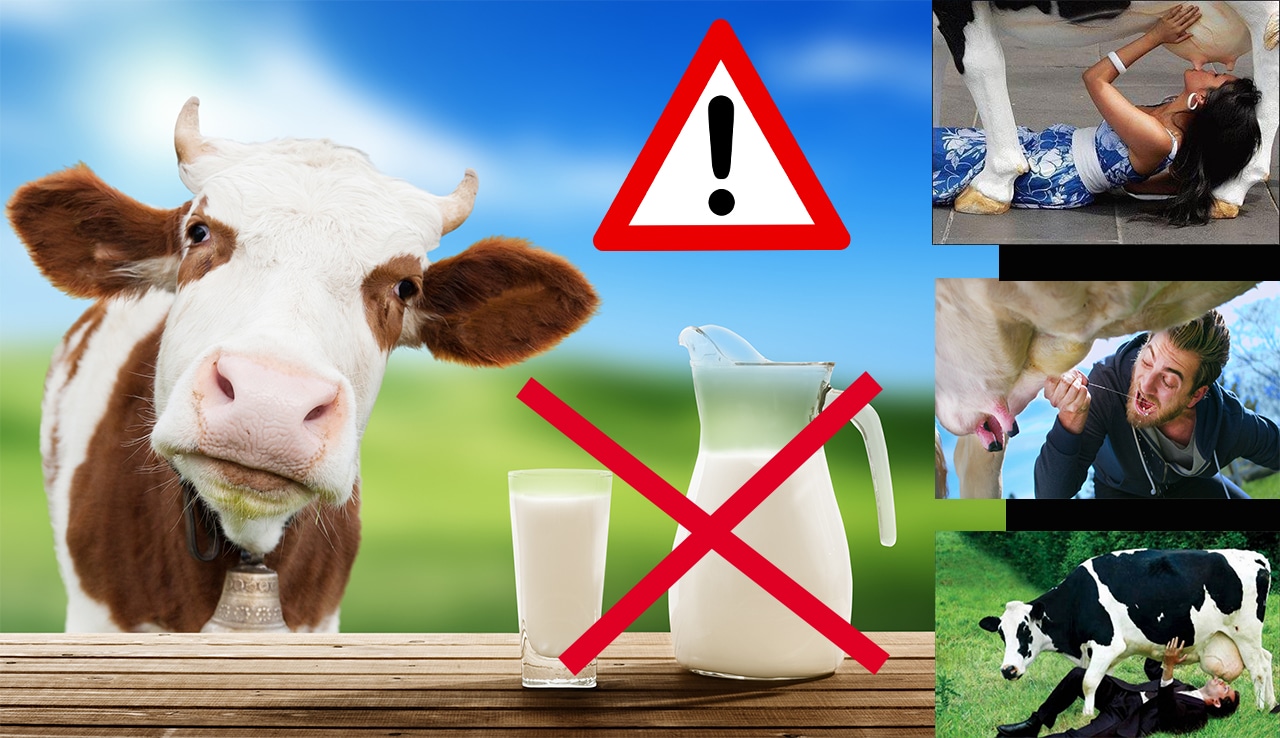 DANGERS DU LAIT