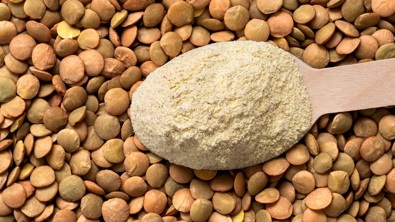 Farine de lentilles