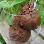 Glace paléo au chocolat surprenante