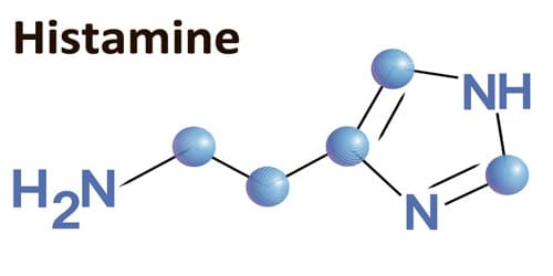 histamine molécule