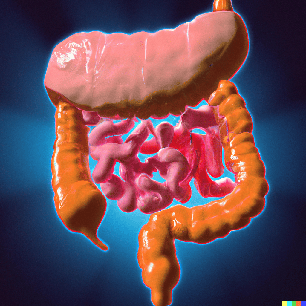 Intestin inflammation