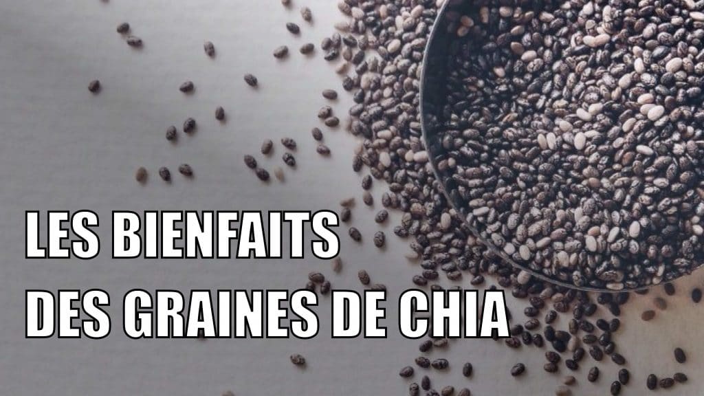 Les bienfaits des graines de chia