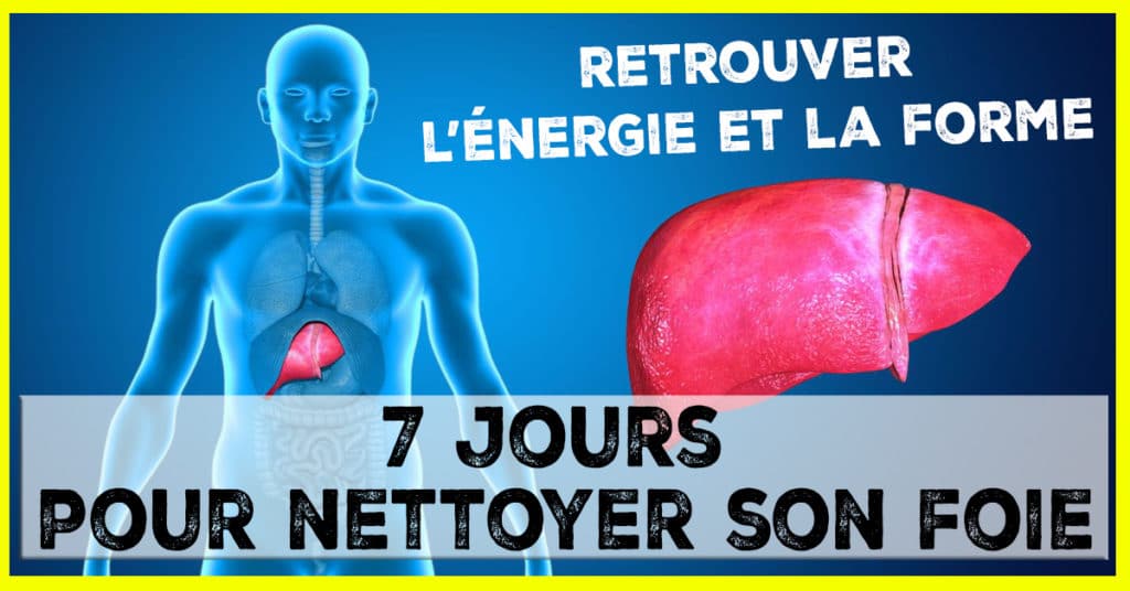 Nettoyer son foie en 7 jours