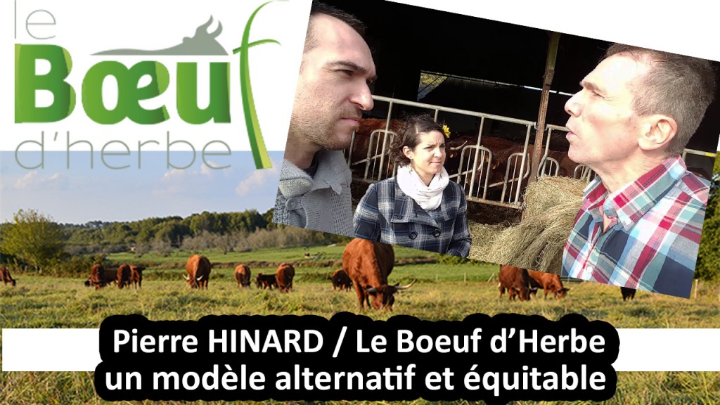 Le boeuf herbe