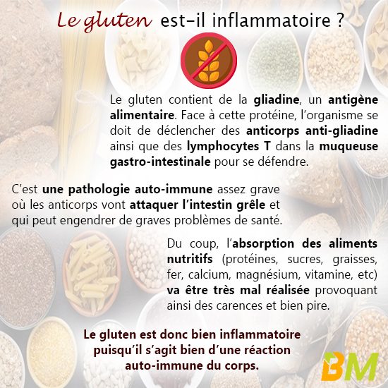 Le gluten est-il inflammatoire