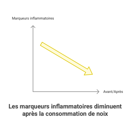 Les marqueurs inflammatoires diminuent après la consommation de noix