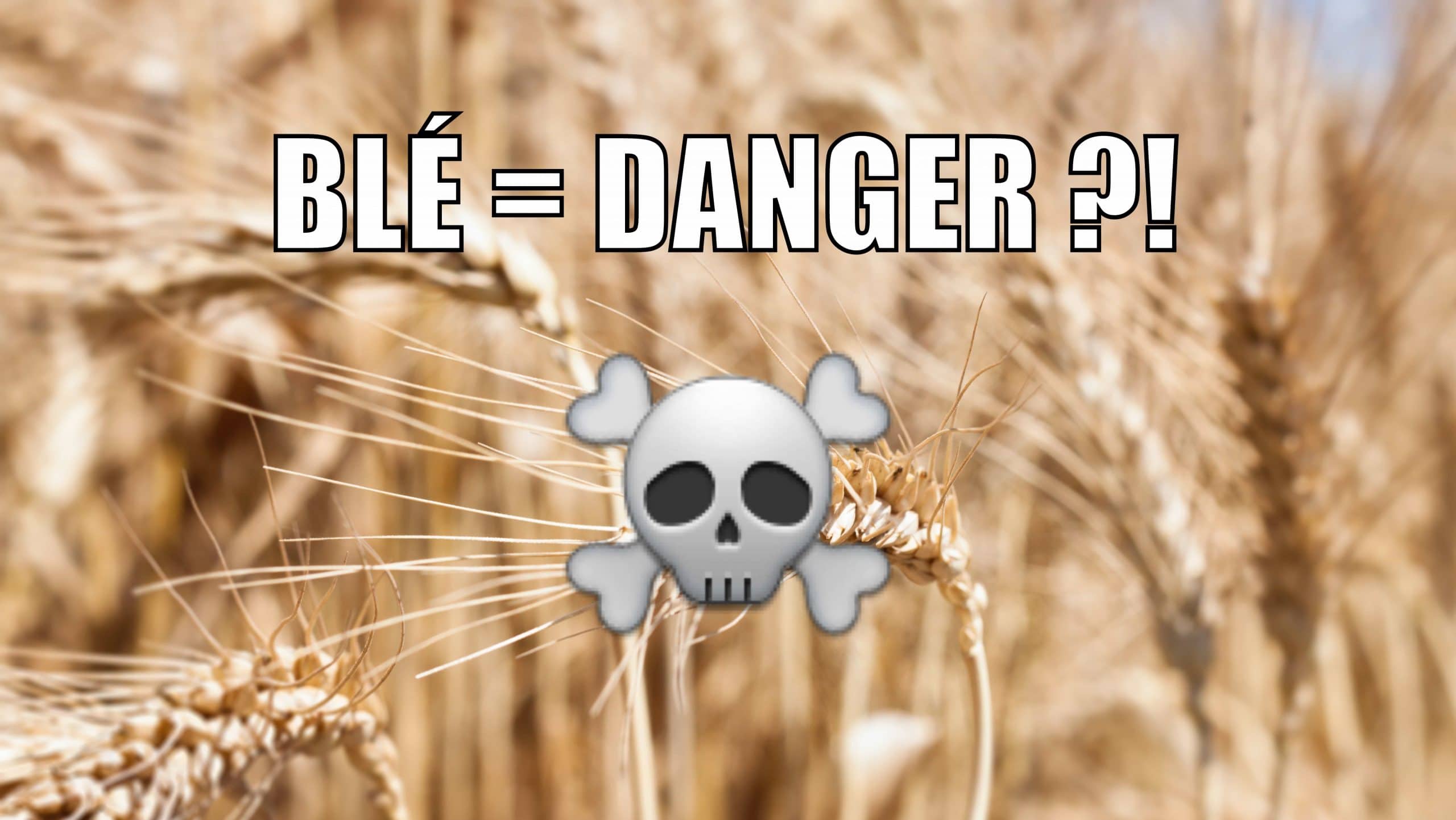 Pourquoi le blé est mauvais pour la santé
