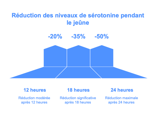 Réduction des niveaux de sérotonine pendant le jeûne
