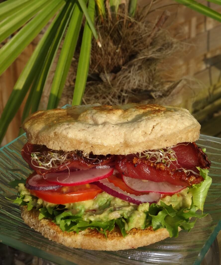 Sandwich Burger express Paléo
