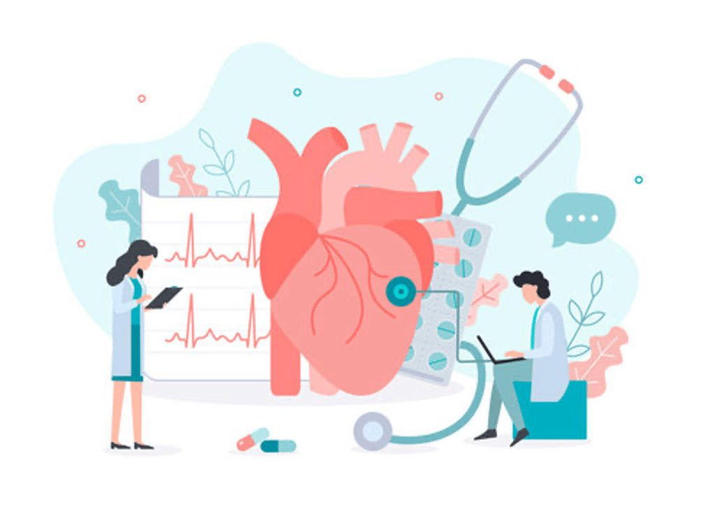 Santé cardiovasculaire