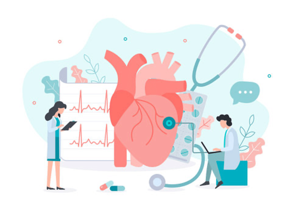 Santé cardiovasculaire