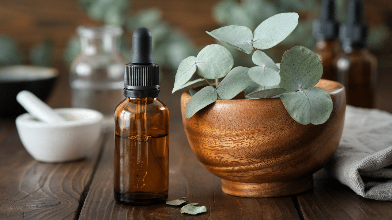 anti-inflammatoire naturel L'eucalyptus