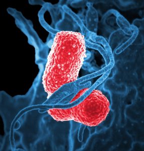 psoriasis et système immunitaire