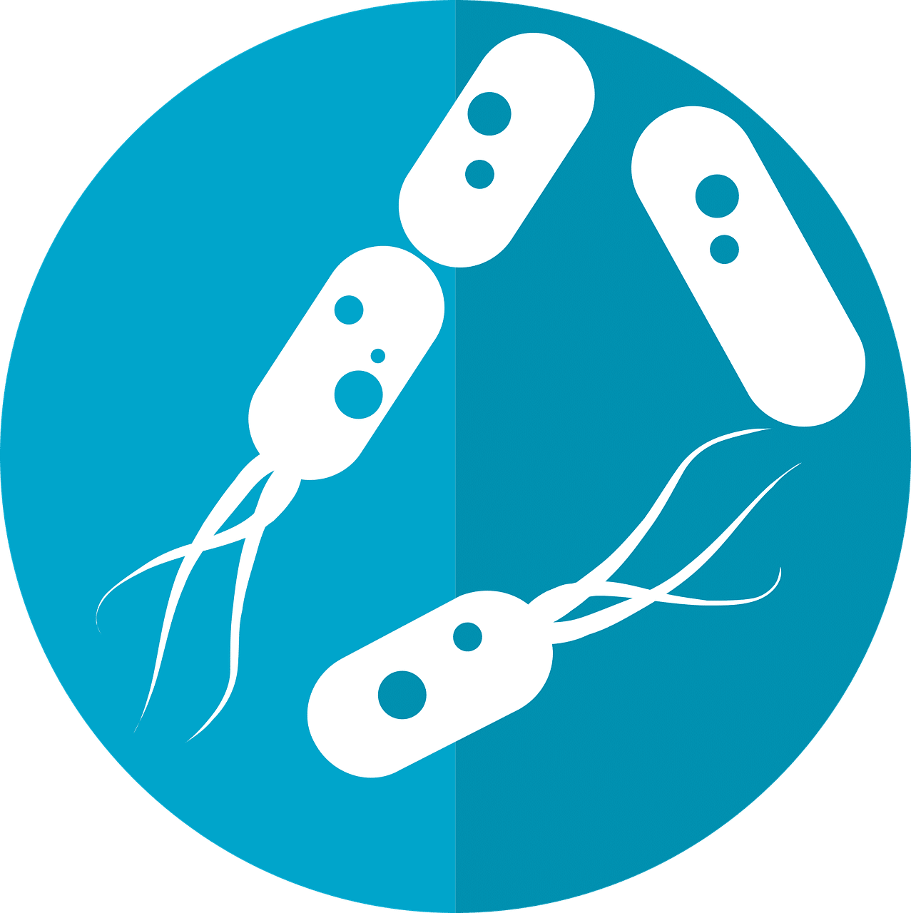 intolérance à l'histamine / SIBO