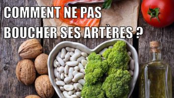 aliments anti-cholestérol
