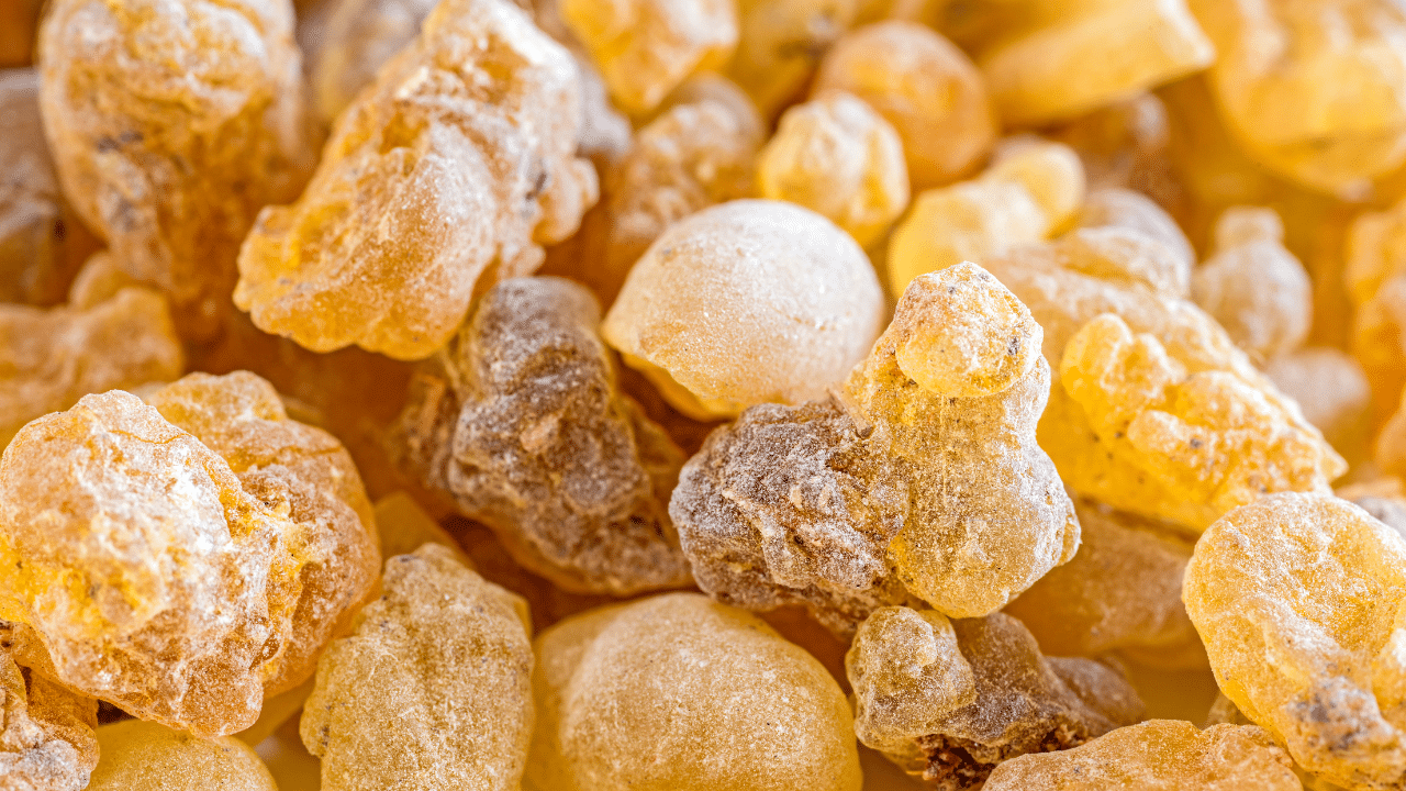 boswellia