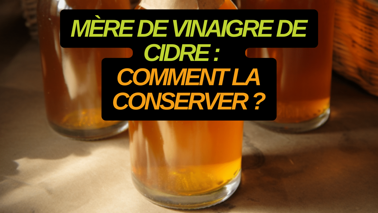 Vinaigre De Cidre : Questions Fréquentes & Réponses - FAQ - BMoove