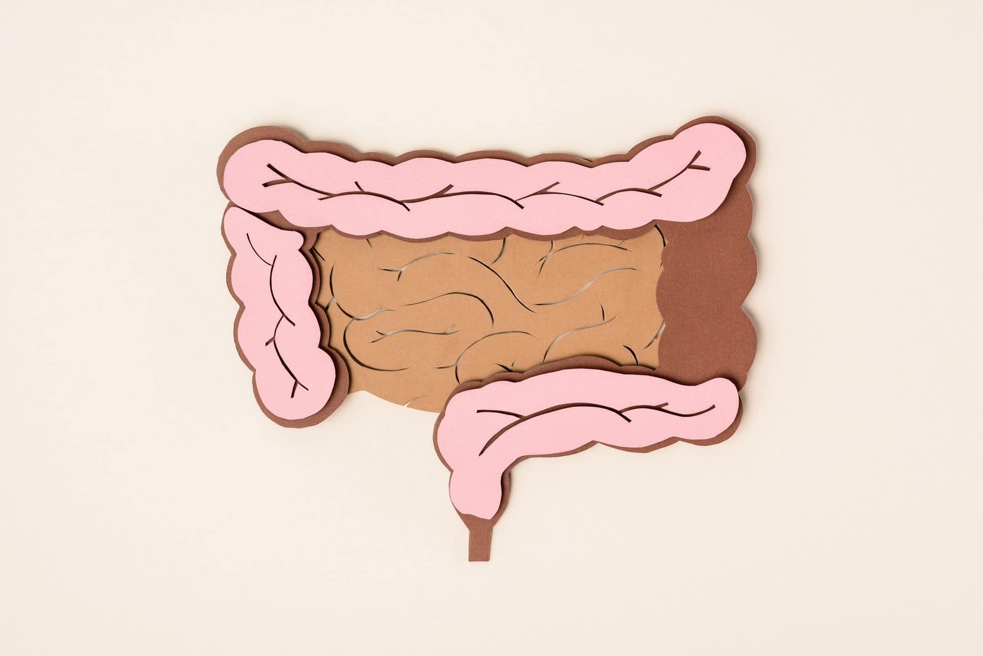 Santé intestinale