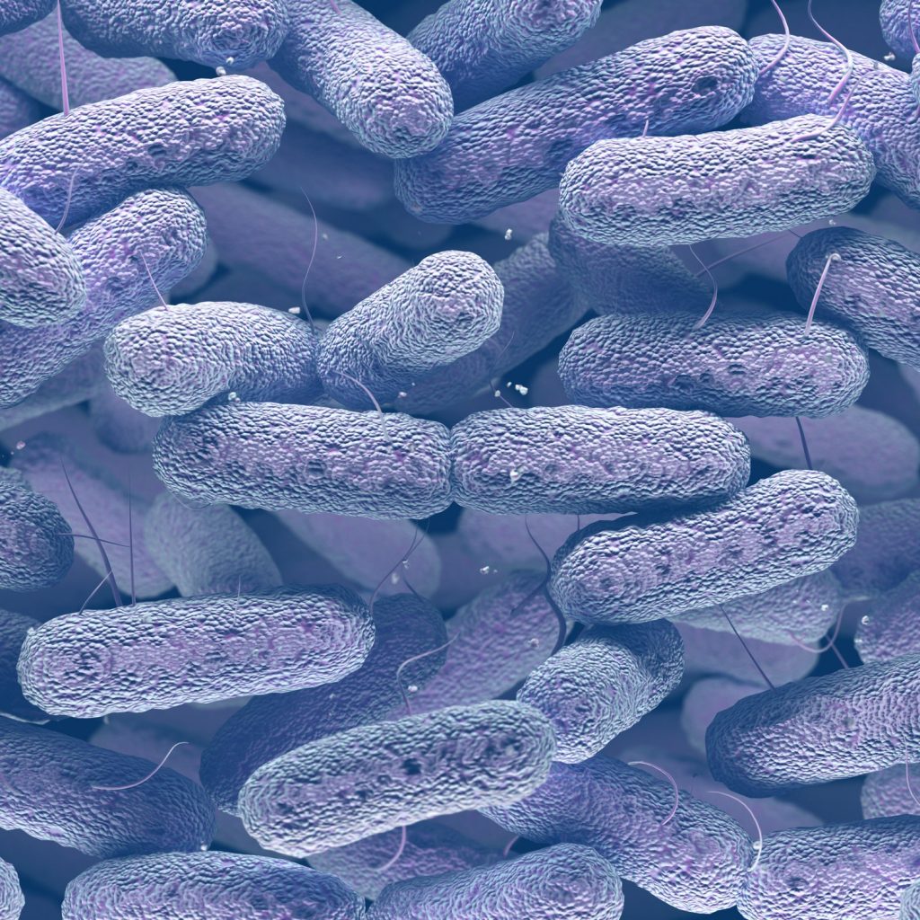microbiote dysbiose