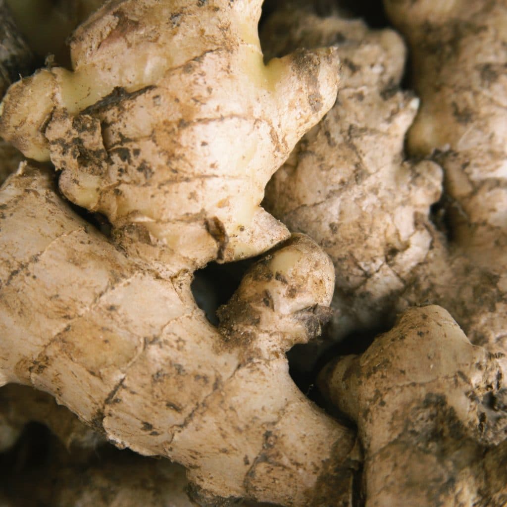 le gingembre est il vraiment aphrodisiaque