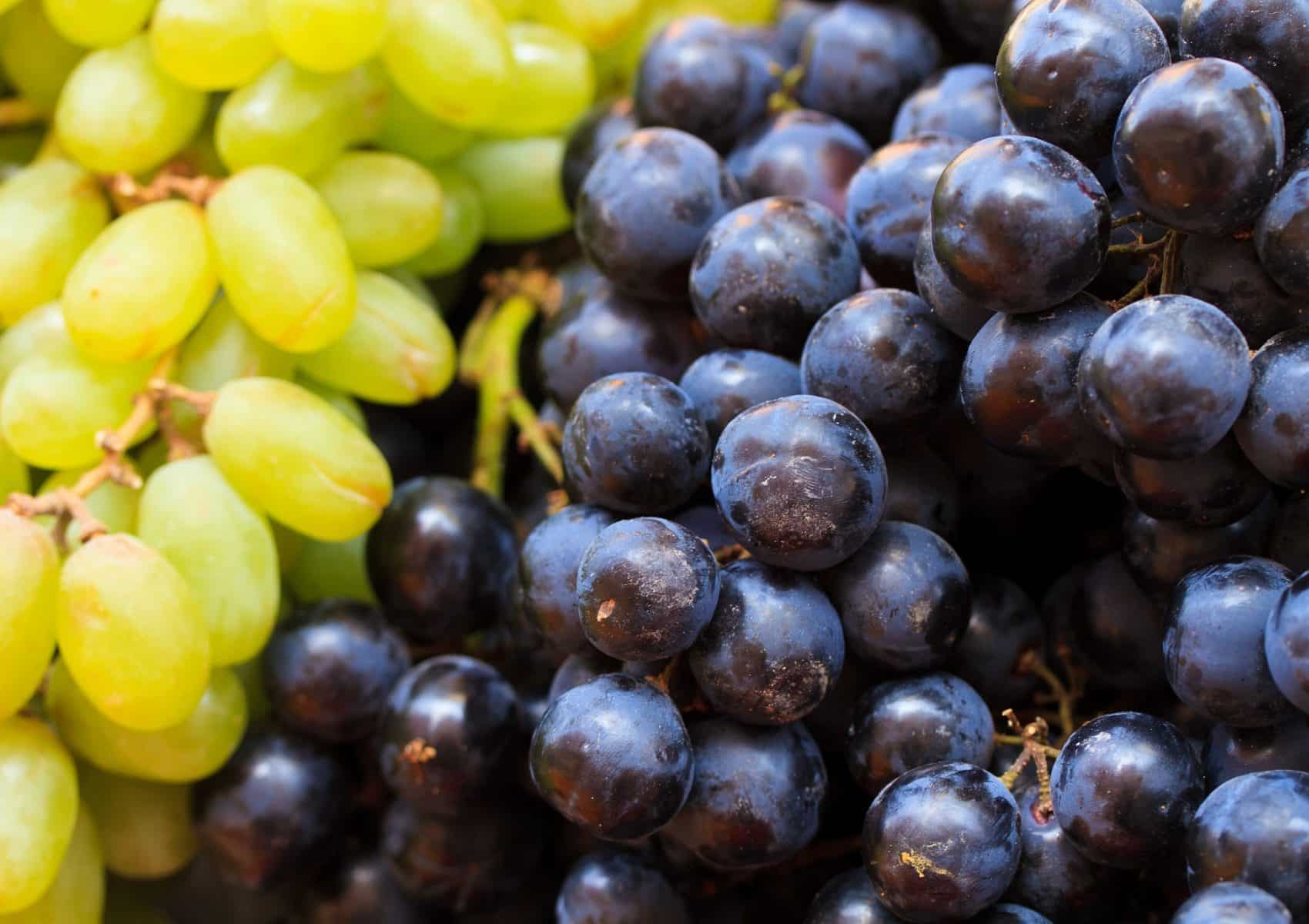 aliment anti-inflammatoire raisin
