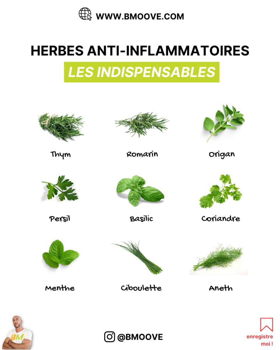 infographie - HERBES anti-inflammatoires
