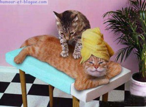 les massages
