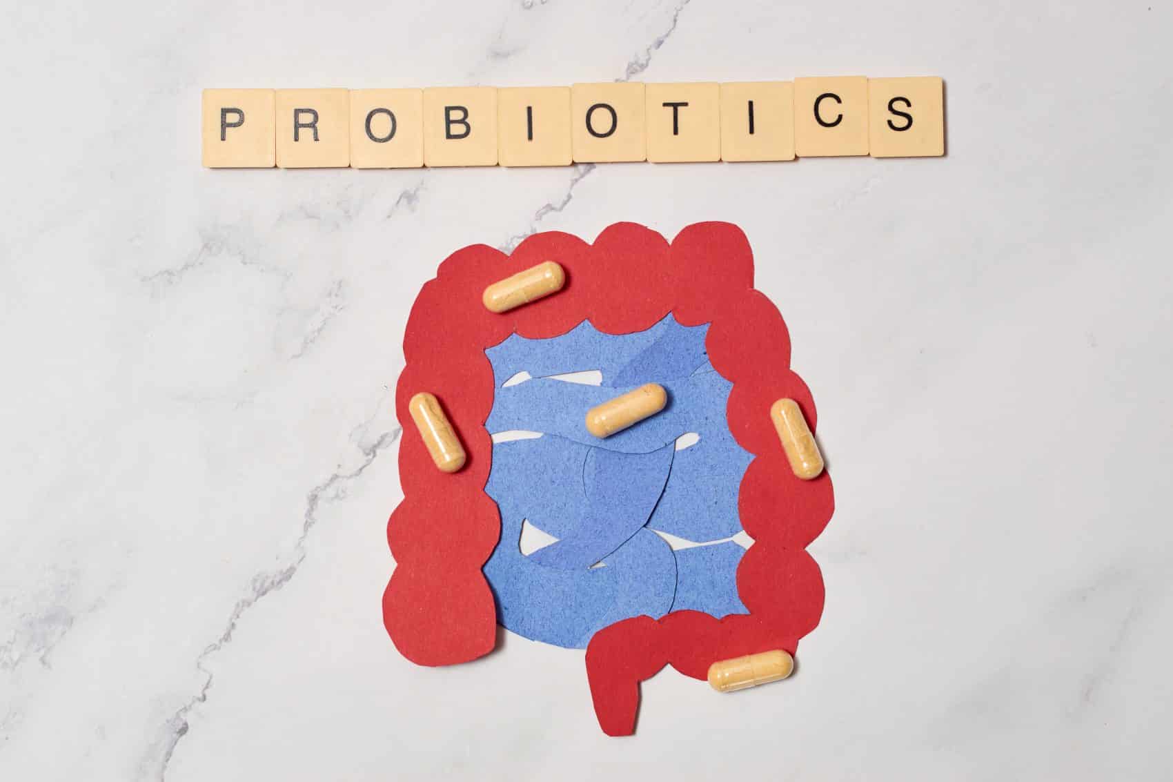 probiotiques pour ventre gonflé en permanence