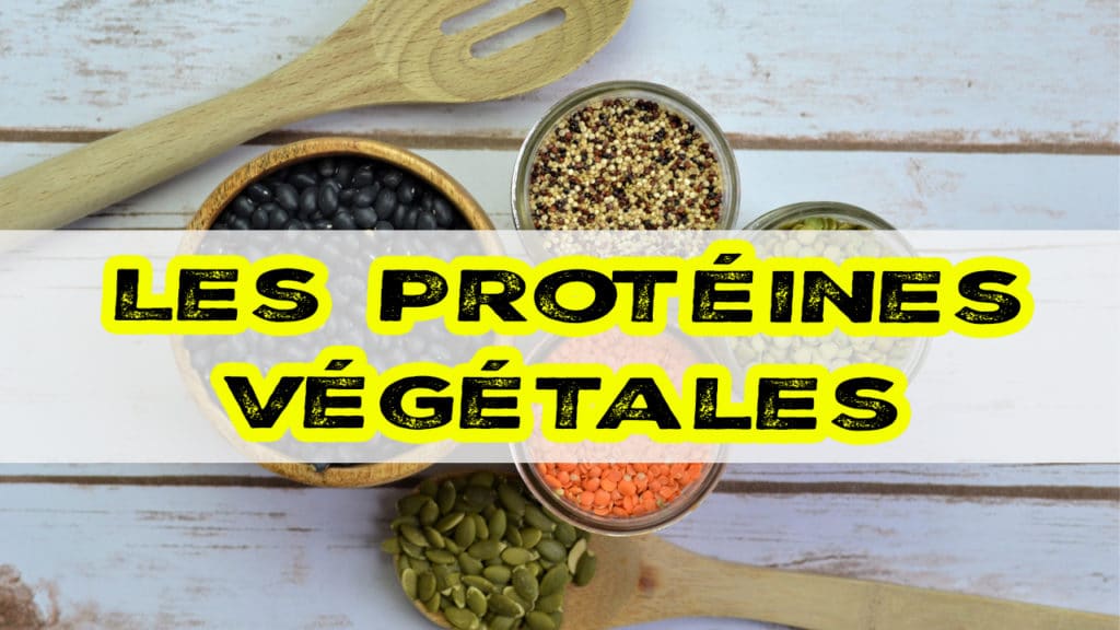 Les protéines végétales