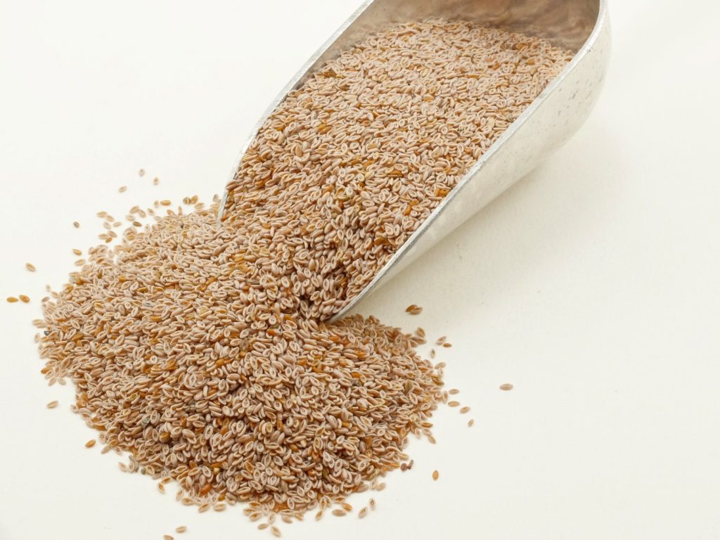 psyllium