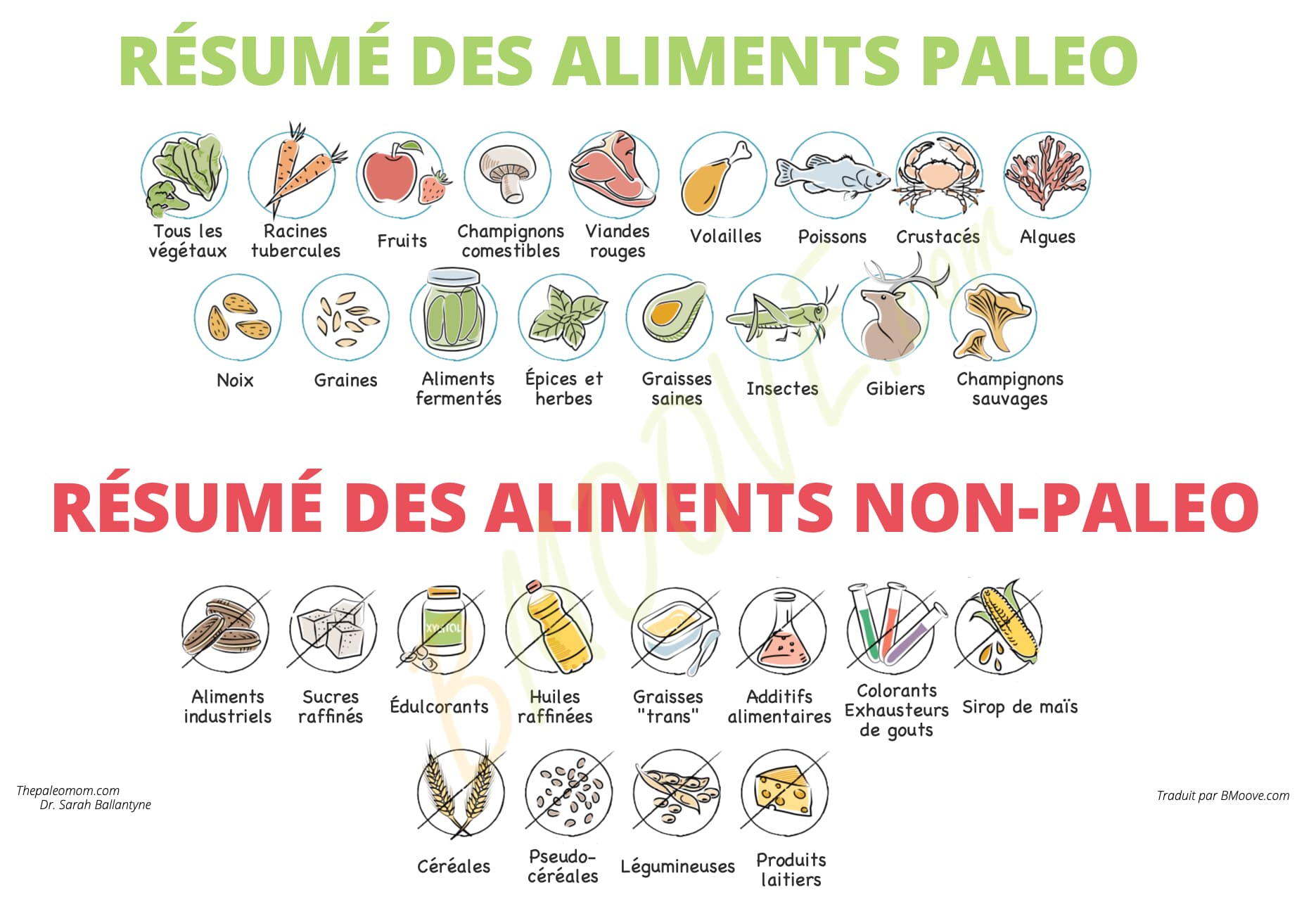 résumé des aliments non-paléo et paléo