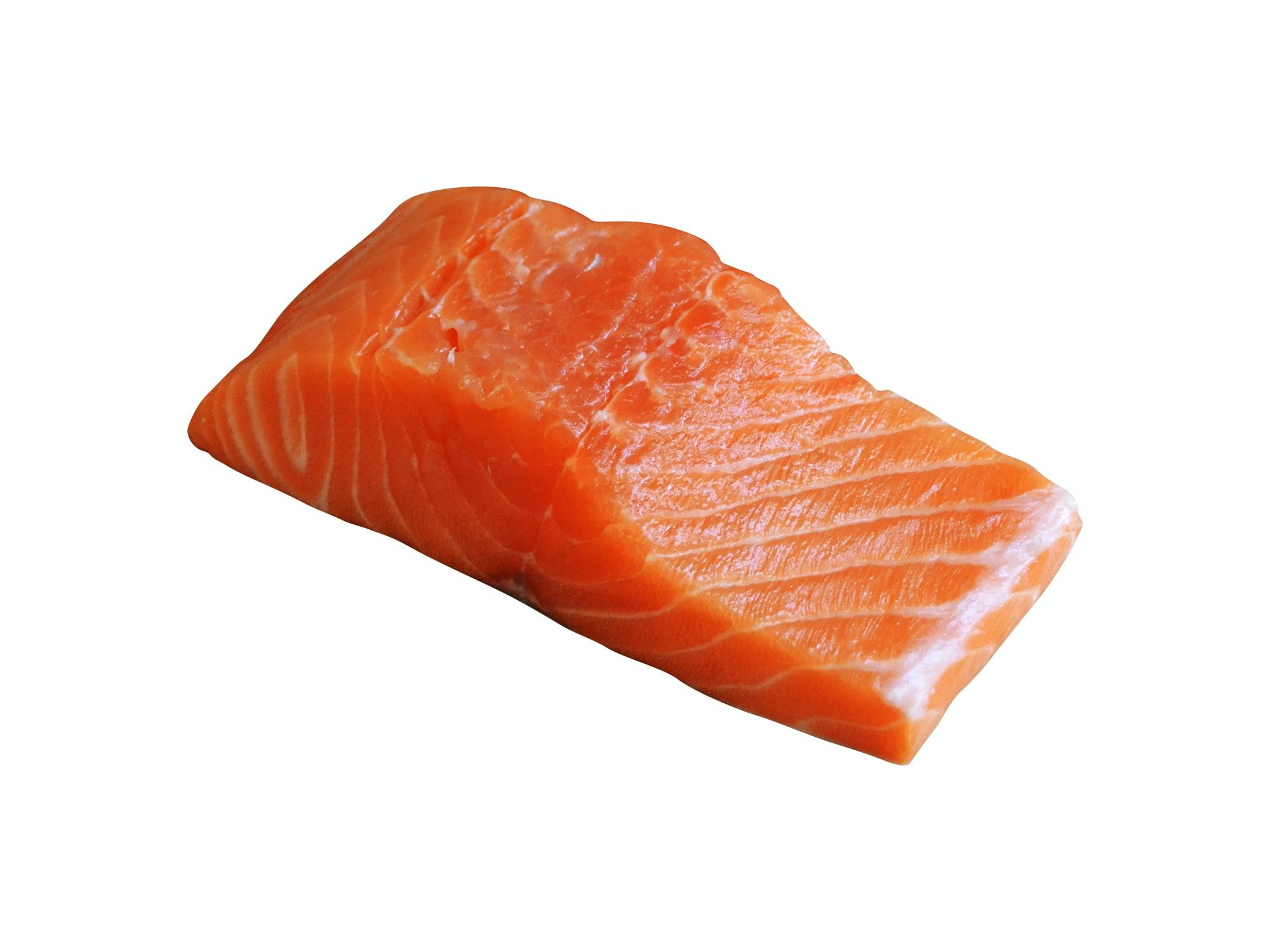saumon poisson gras