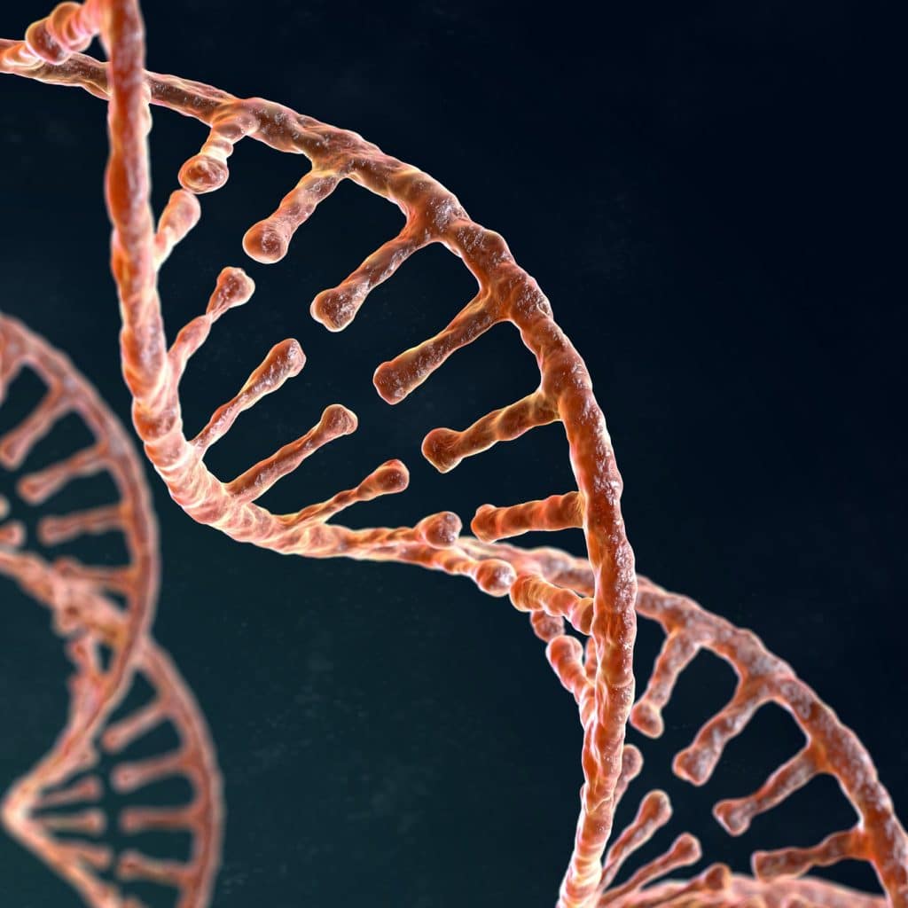 effets de l'inflammation chronique sur le corps