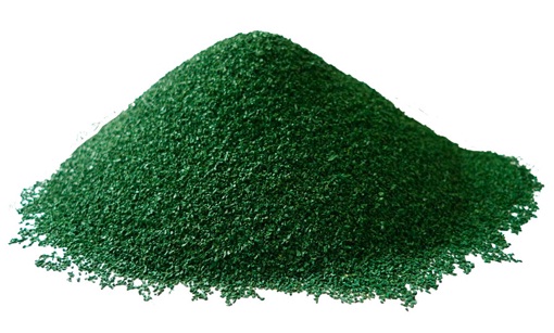 spiruline : source de protéines végétales